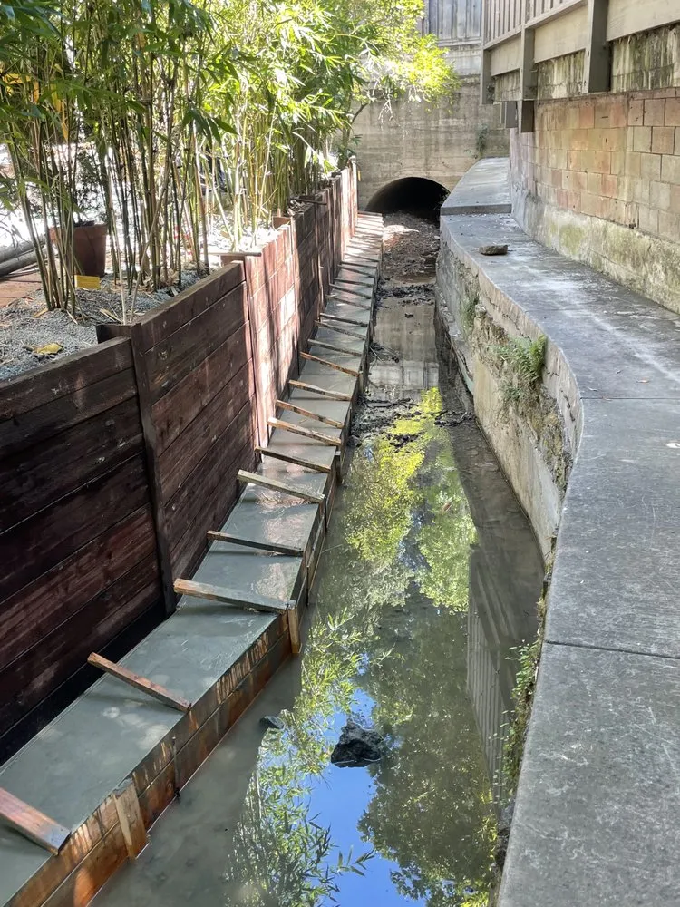 Local landscaping services for beautiful yards in Burlingame, CA by ForEver Construction