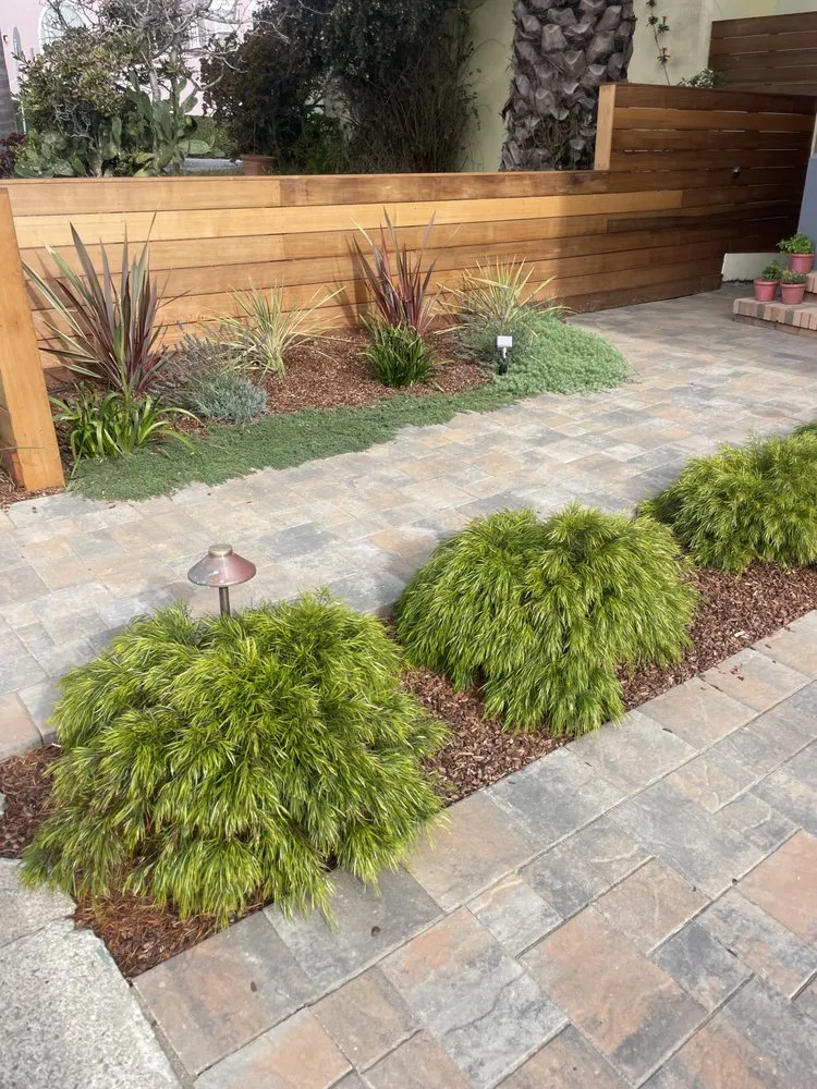 Trusted lawn care service experts serving Burlingame, CA - ForEver Construction