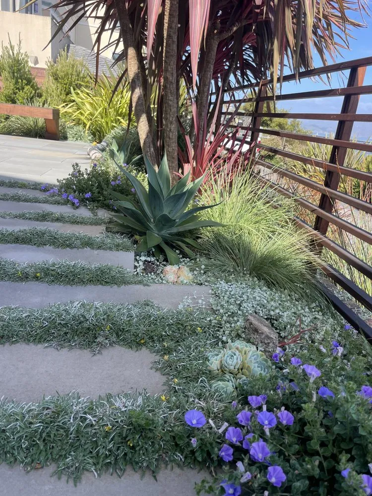 Trusted garden landscaping experts serving Burlingame, CA - ForEver Construction