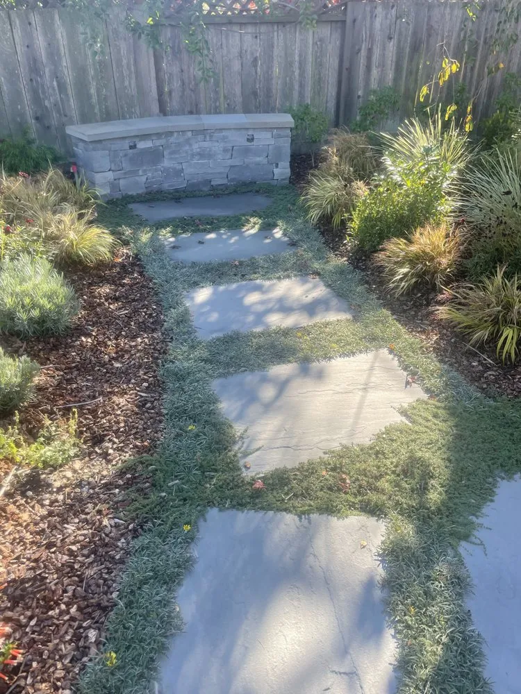 Local residential landscaping for year-round maintenance across Burlingame, CA - ForEver Construction