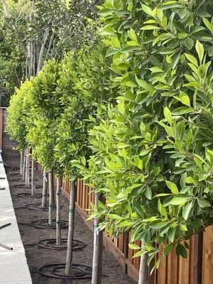 ForEver Construction