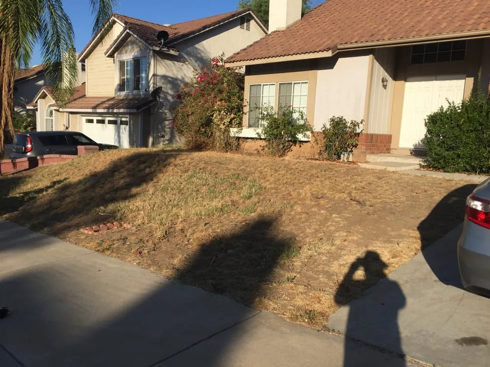 Professional yard maintenance for residential properties across Moreno Valley, CA - Forever Curbing & Landscaping Services