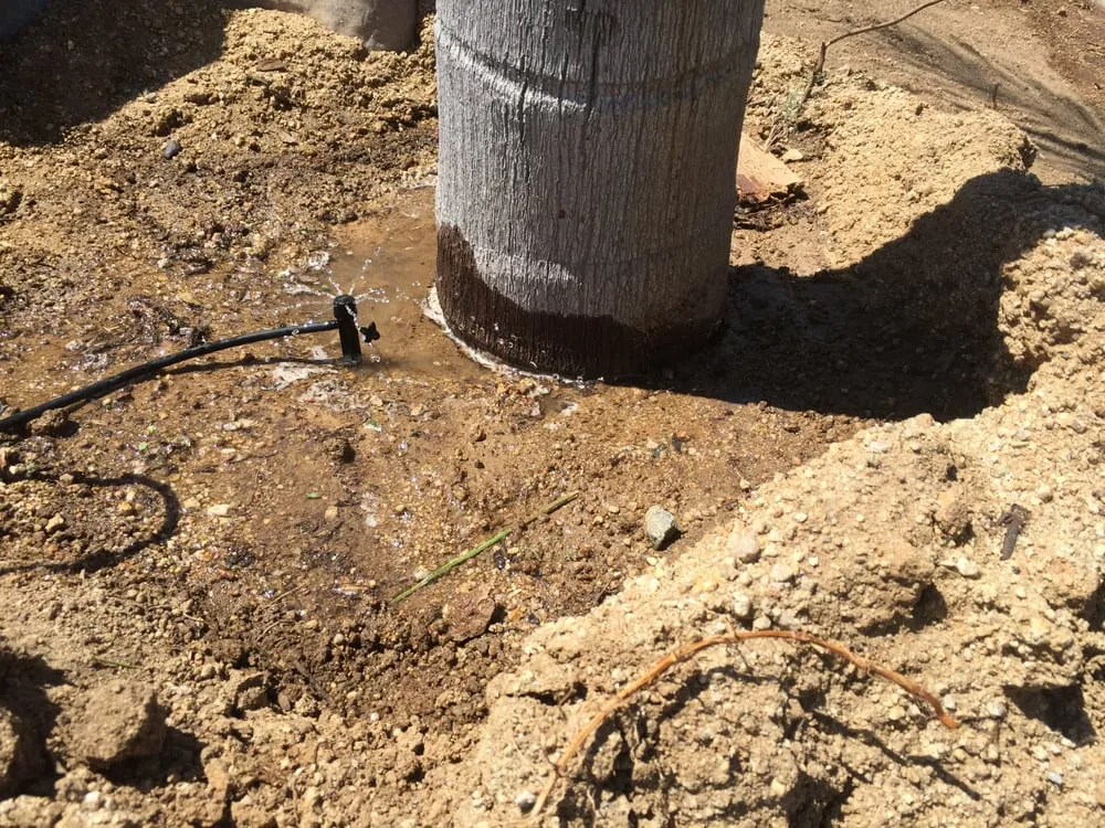 Professional residential landscaping experts serving Moreno Valley, CA - Forever Curbing & Landscaping Services