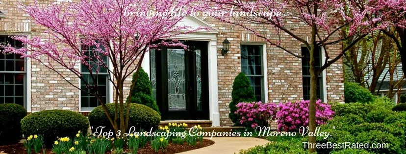 Local lawn care service in Moreno Valley, CA - Forever Curbing & Landscaping Services