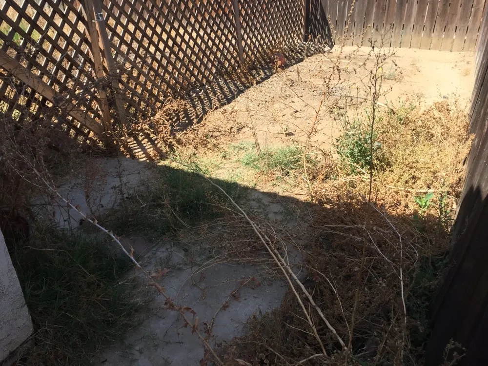 Affordable lawn mowing service experts serving Moreno Valley, CA - Forever Curbing & Landscaping Services