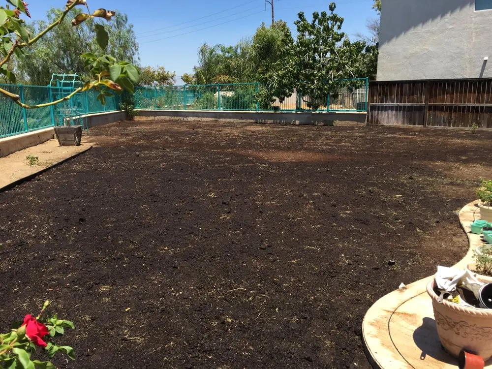 Professional lawn care service with custom design in Moreno Valley, CA by Forever Curbing & Landscaping Services