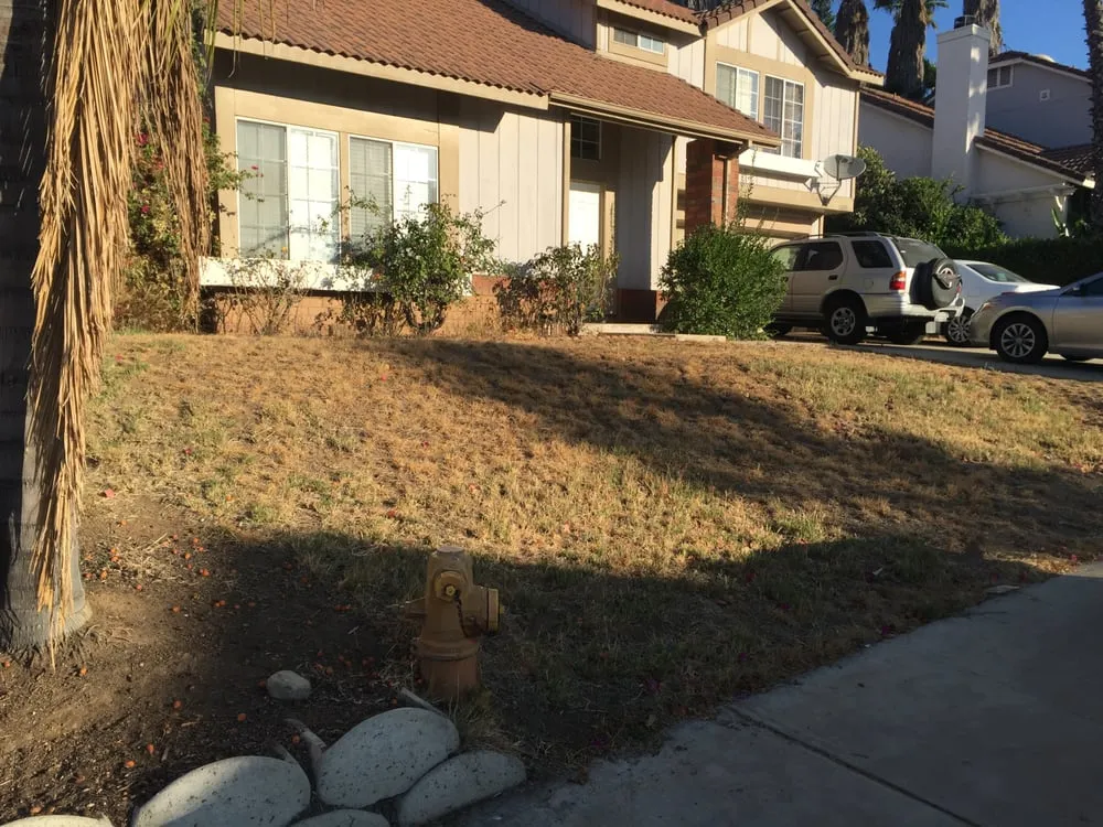 Custom yard cleanup service in Moreno Valley, CA by Forever Curbing & Landscaping Services