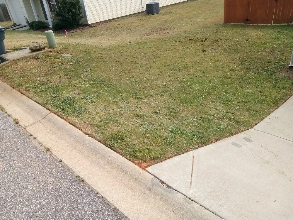 Expert garden landscaping for residential properties across Spartanburg, SC - Forever Fresh Lawn Care & More