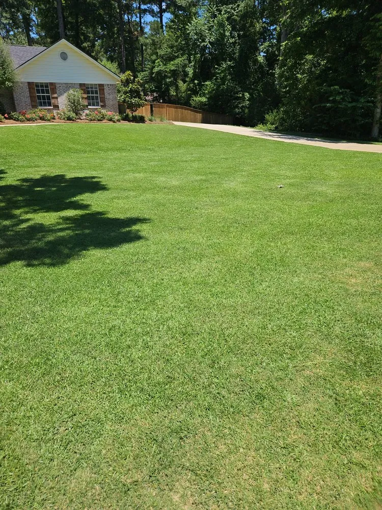 Custom yard cleanup service in Ruston, LA by Forever Grateful Contractor