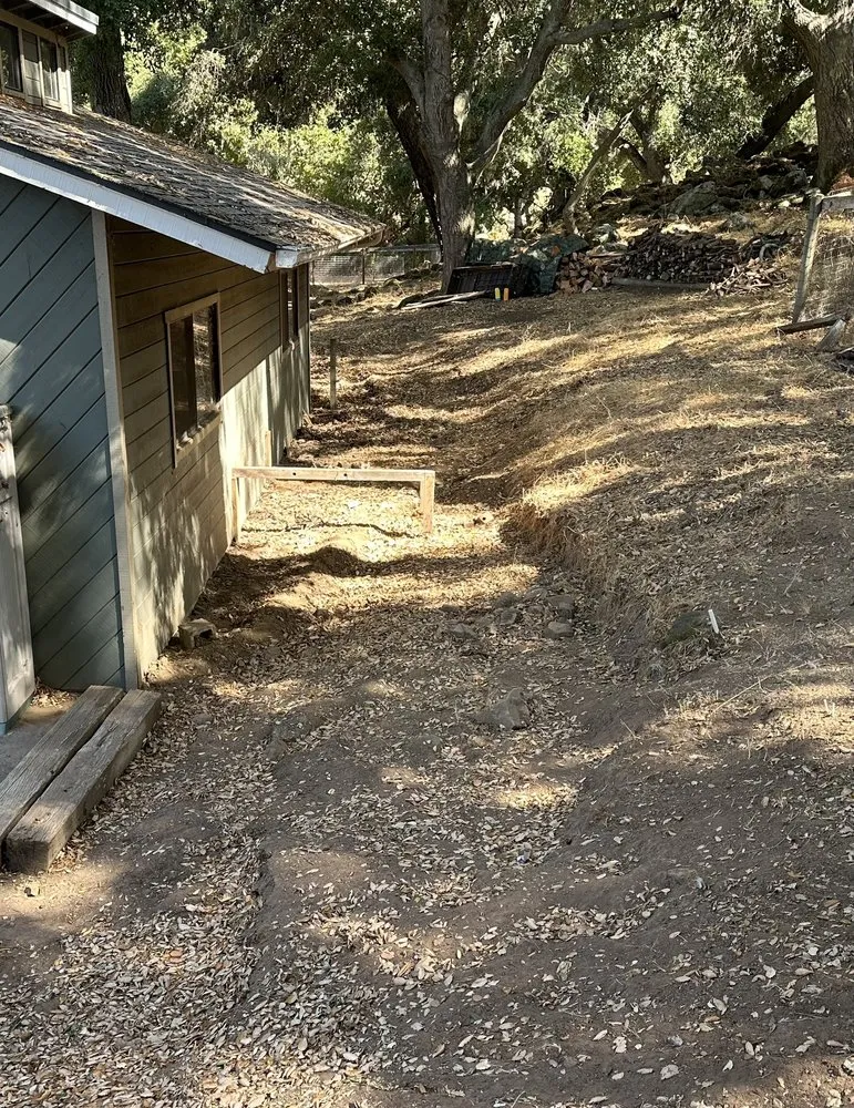 Expert yard maintenance for residential properties in Arroyo Grande, CA by Forever Green