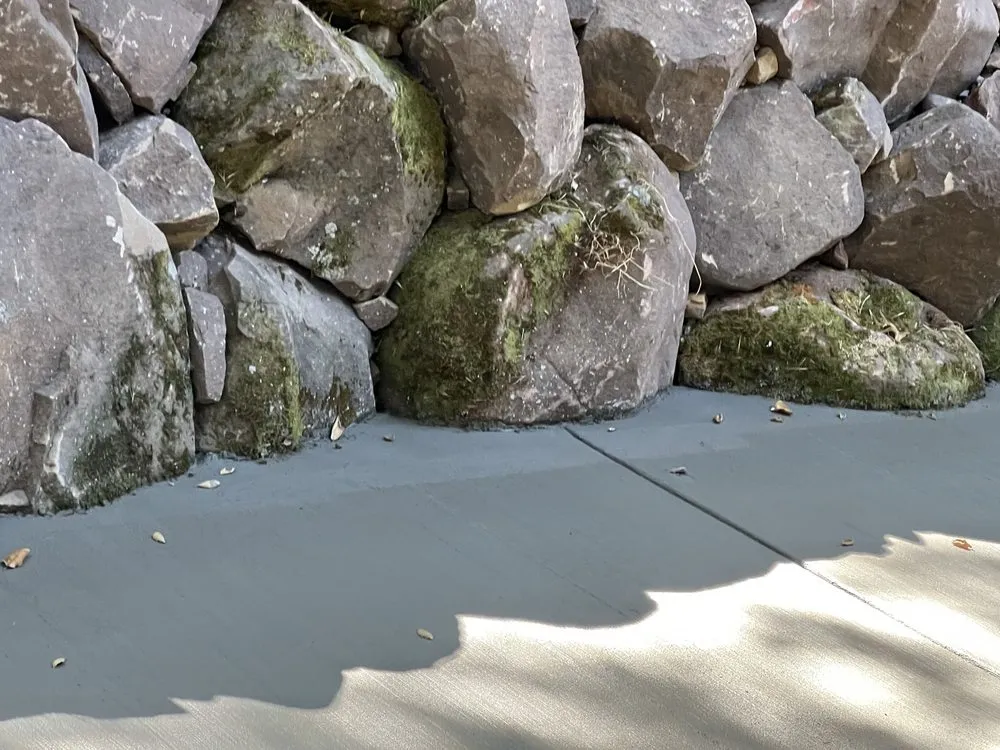 Reliable lawn care service in Arroyo Grande, CA - Forever Green