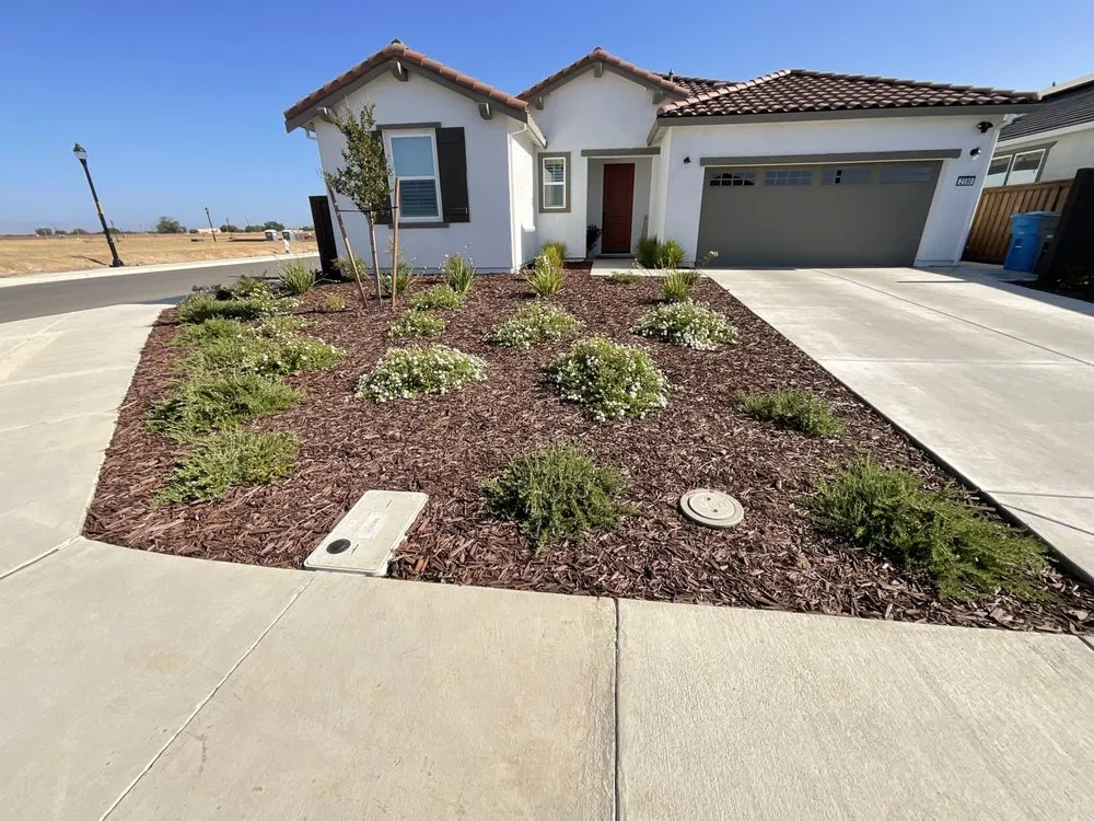 Local yard cleanup service in Dixon, CA - Forever Green Cali