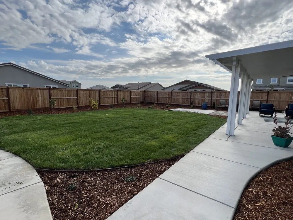 Reliable yard cleanup service in Dixon, CA - Forever Green Cali