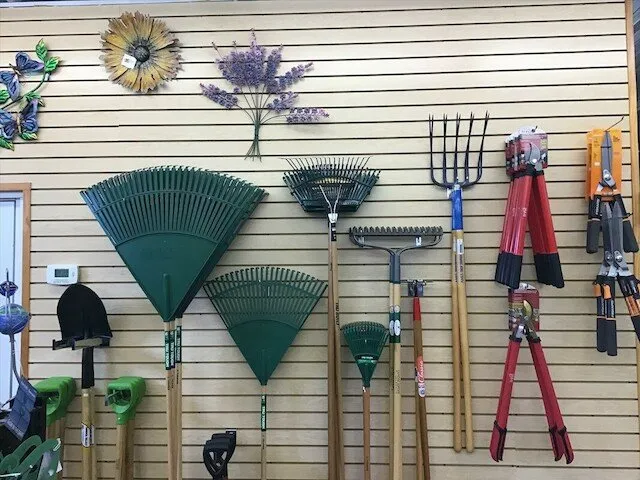 Professional outdoor landscaping experts serving Cedar Lake, IN - Forever Green