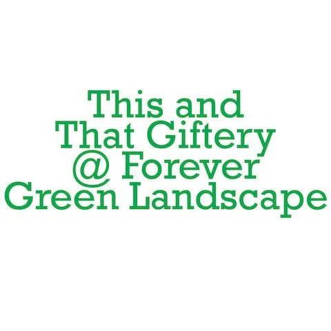 Expert landscape installation in Cedar Lake, IN by Forever Green