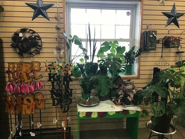 Professional yard maintenance near you across Cedar Lake, IN - Forever Green