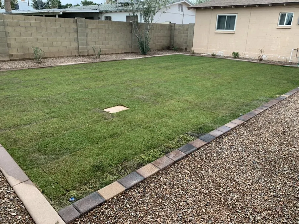 Top-rated yard cleanup service in Chandler, AZ - Forever Green
