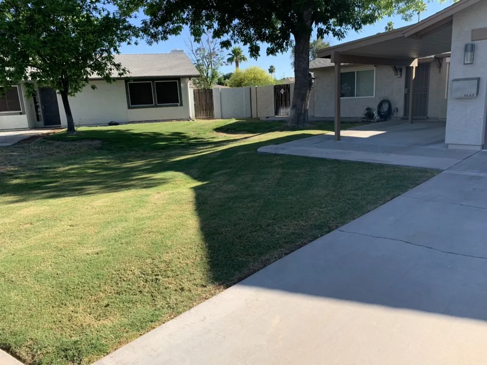 Trusted lawn mowing service for homes in Chandler, AZ by Forever Green