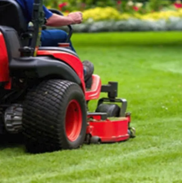 Professional lawn care service with custom design in Chandler, AZ by Forever Green