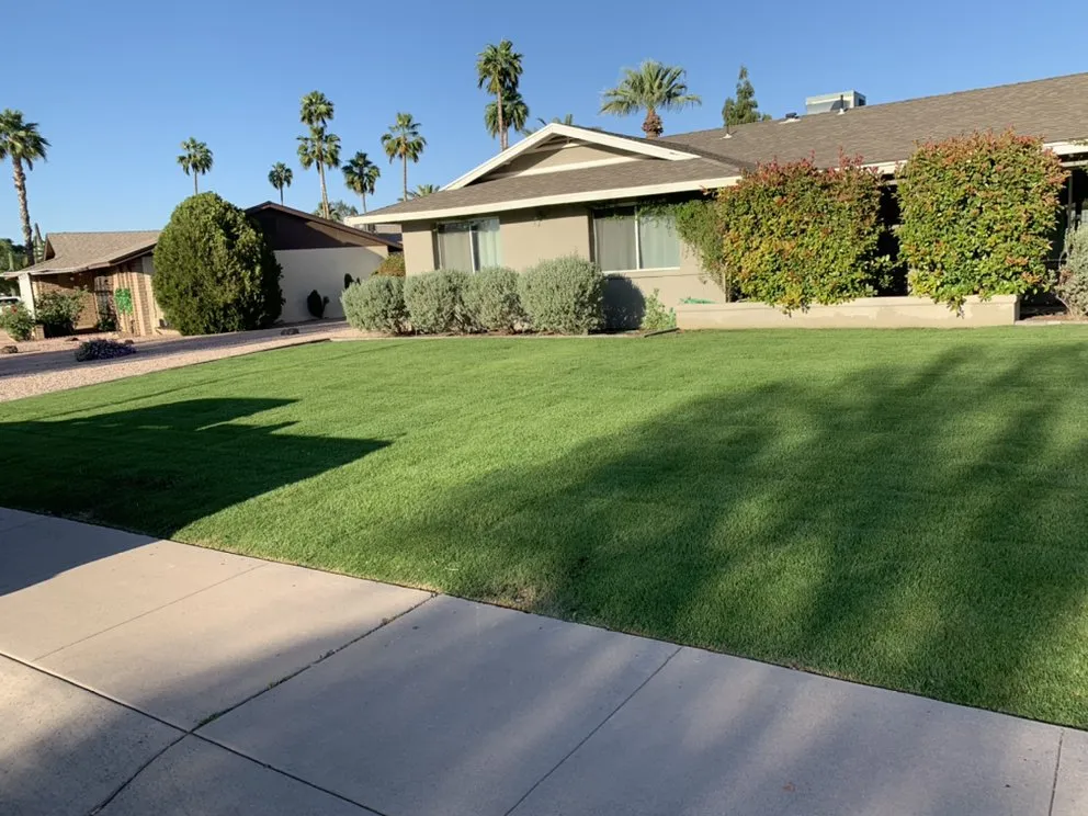 Expert landscape installation in Chandler, AZ by Forever Green