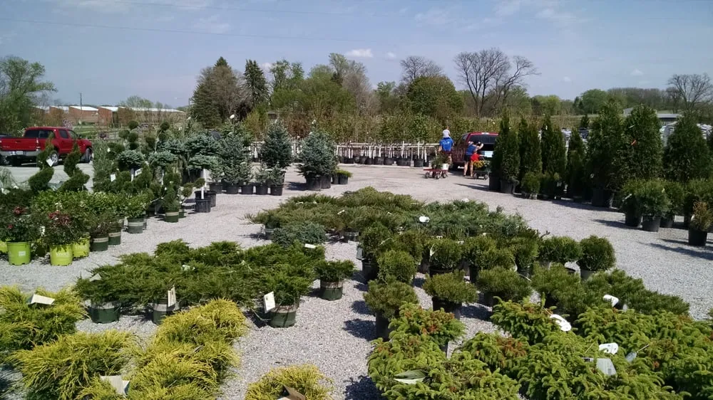 Custom garden landscaping in Coralville, IA - Forever Green