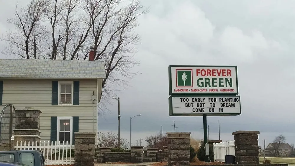 Affordable yard maintenance in Coralville, IA by Forever Green