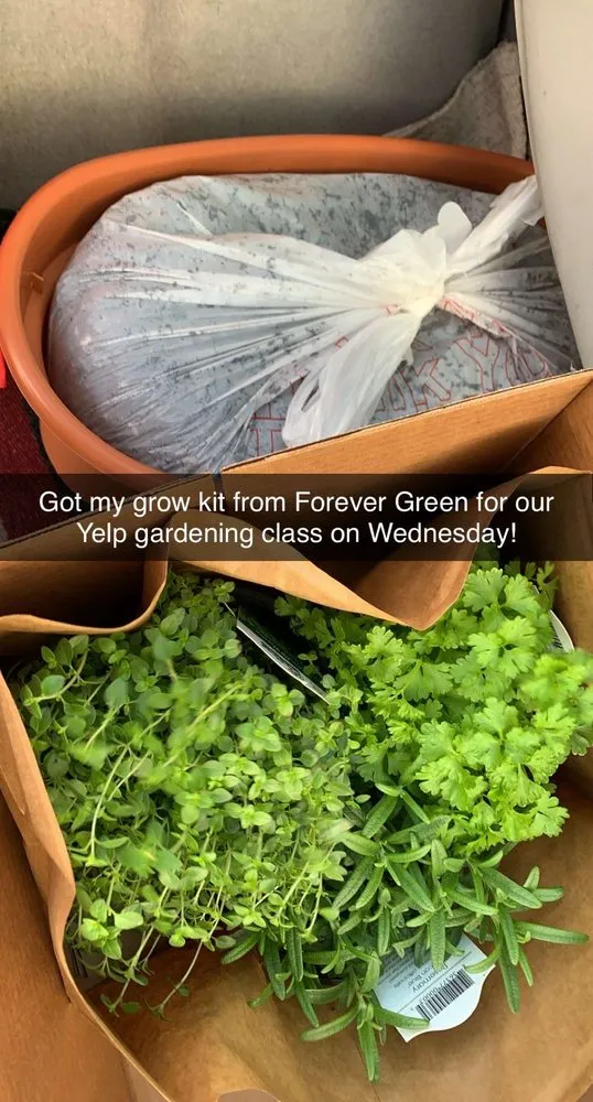 Trusted yard maintenance in Coralville, IA - Forever Green