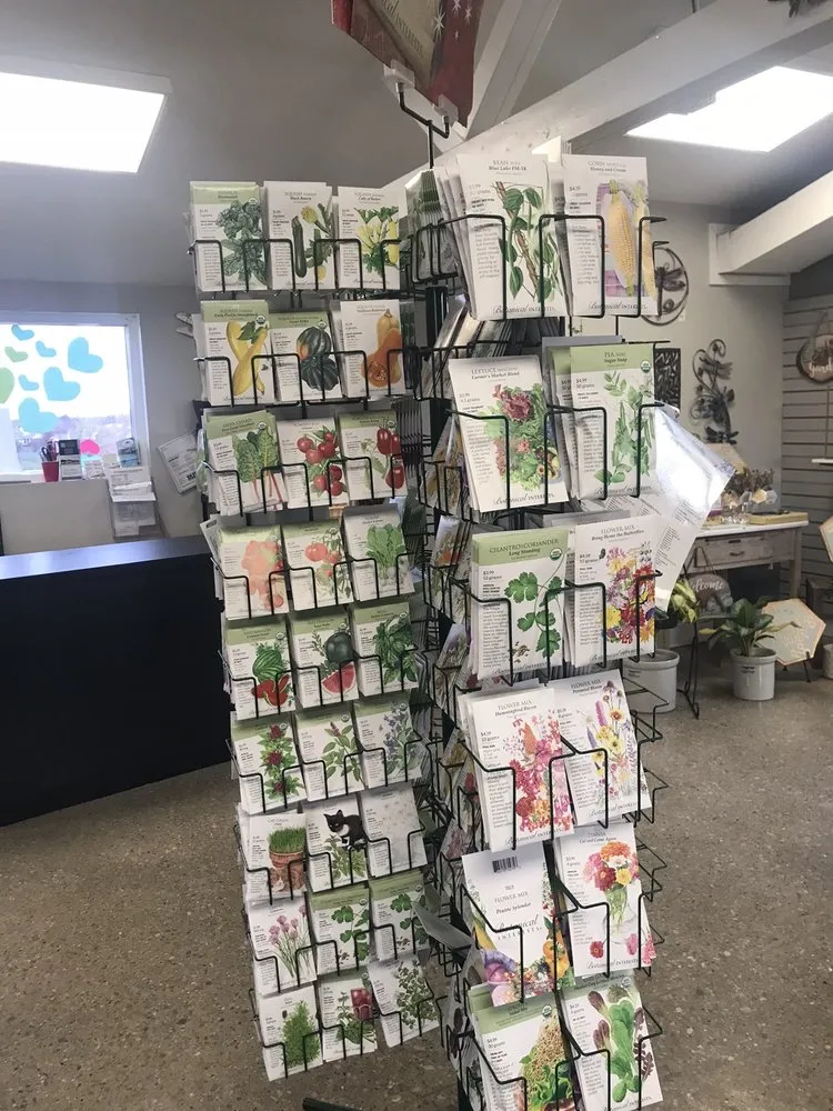 Reliable lawn mowing service experts serving Coralville, IA - Forever Green