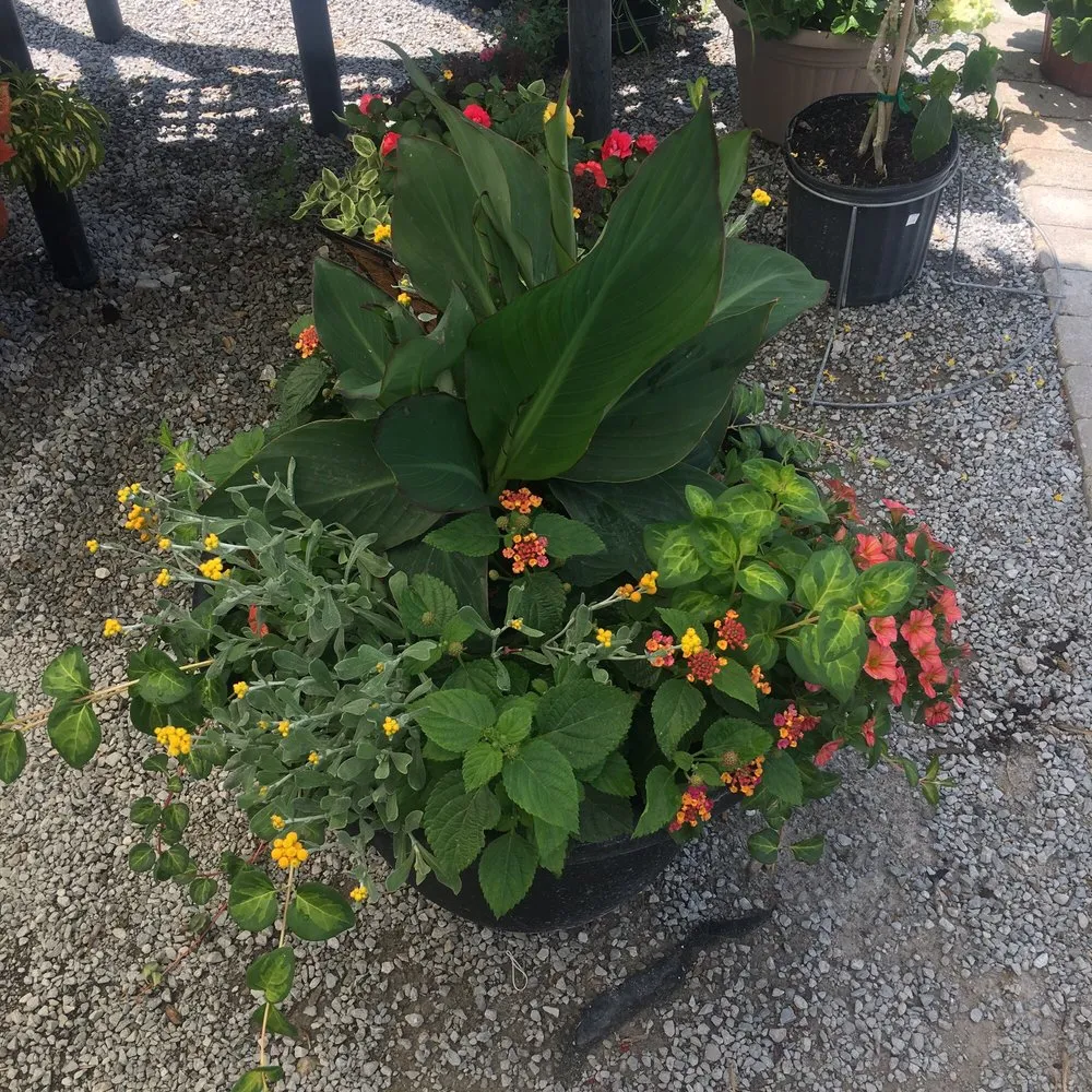 Reliable landscape installation in Coralville, IA by Forever Green