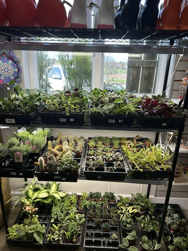 Trusted landscape installation experts serving Coralville, IA - Forever Green