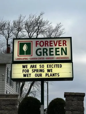 Forever Green