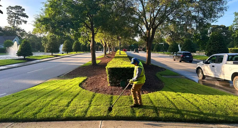 Top-rated landscape installation experts serving Daniel Island, SC - forever green