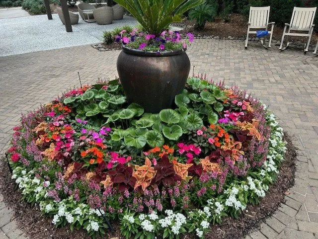 Trusted garden landscaping for homes across Daniel Island, SC - forever green