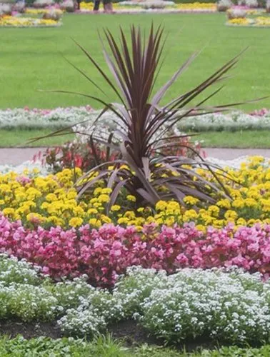 Top-rated residential landscaping in Daniel Island, SC by forever green