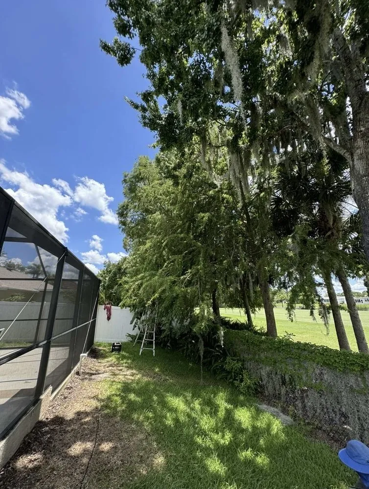 Affordable yard maintenance for outdoor upgrades across DeLand, FL - Forever Green