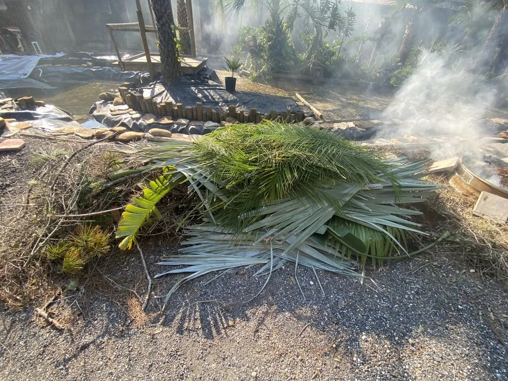 Reliable yard maintenance for residential properties across DeLand, FL - Forever Green