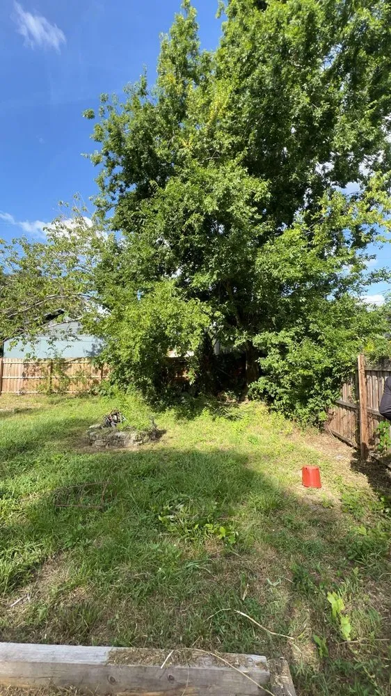 Top-rated yard maintenance experts serving DeLand, FL - Forever Green