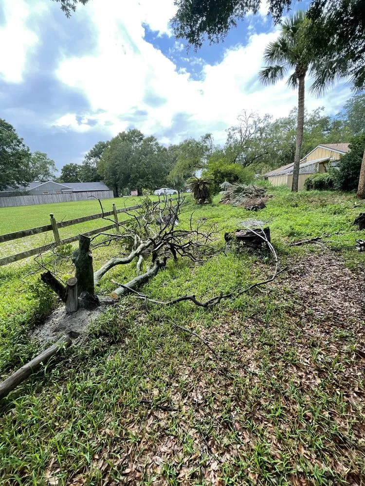 Professional landscape design for homes across DeLand, FL - Forever Green