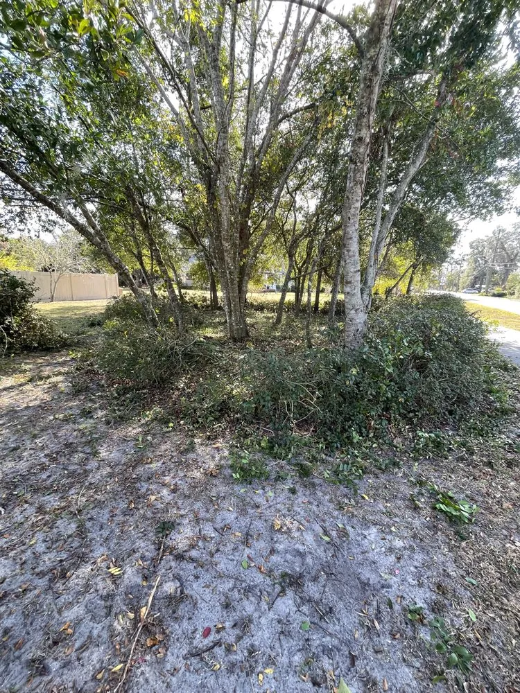 Trusted residential landscaping in DeLand, FL by Forever Green