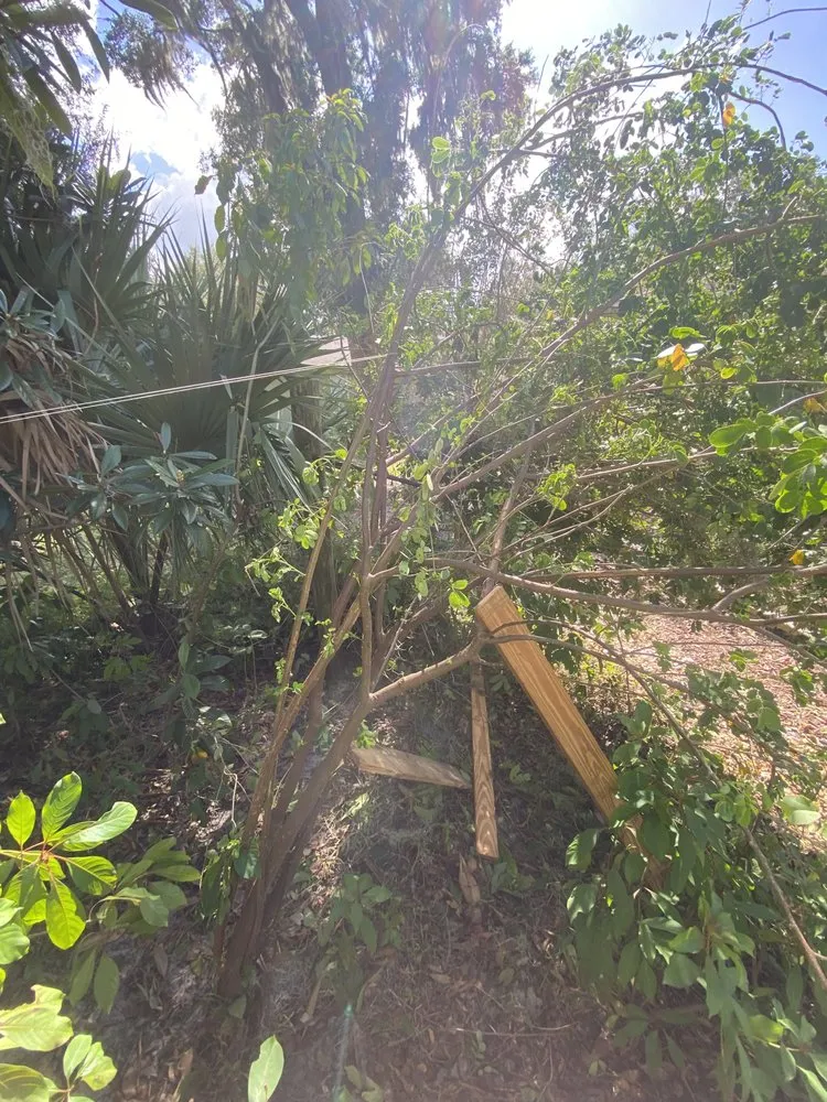 Custom landscape design experts serving DeLand, FL - Forever Green