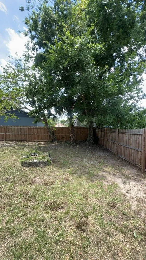 Custom residential landscaping experts serving DeLand, FL - Forever Green