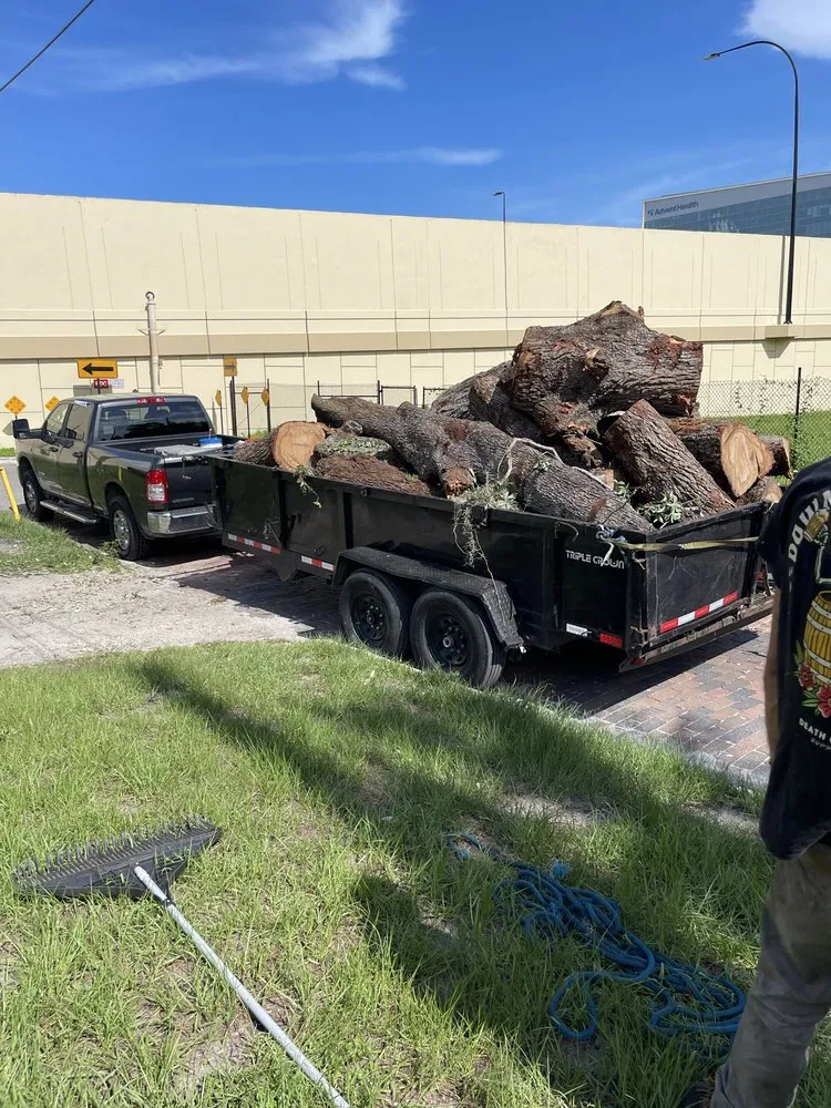 Professional lawn mowing service experts serving DeLand, FL - Forever Green