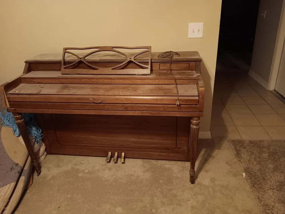 Local outdoor landscaping for year-round maintenance in DeLand, FL by Forever Green