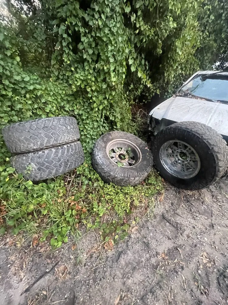 Expert lawn care service in DeLand, FL - Forever Green