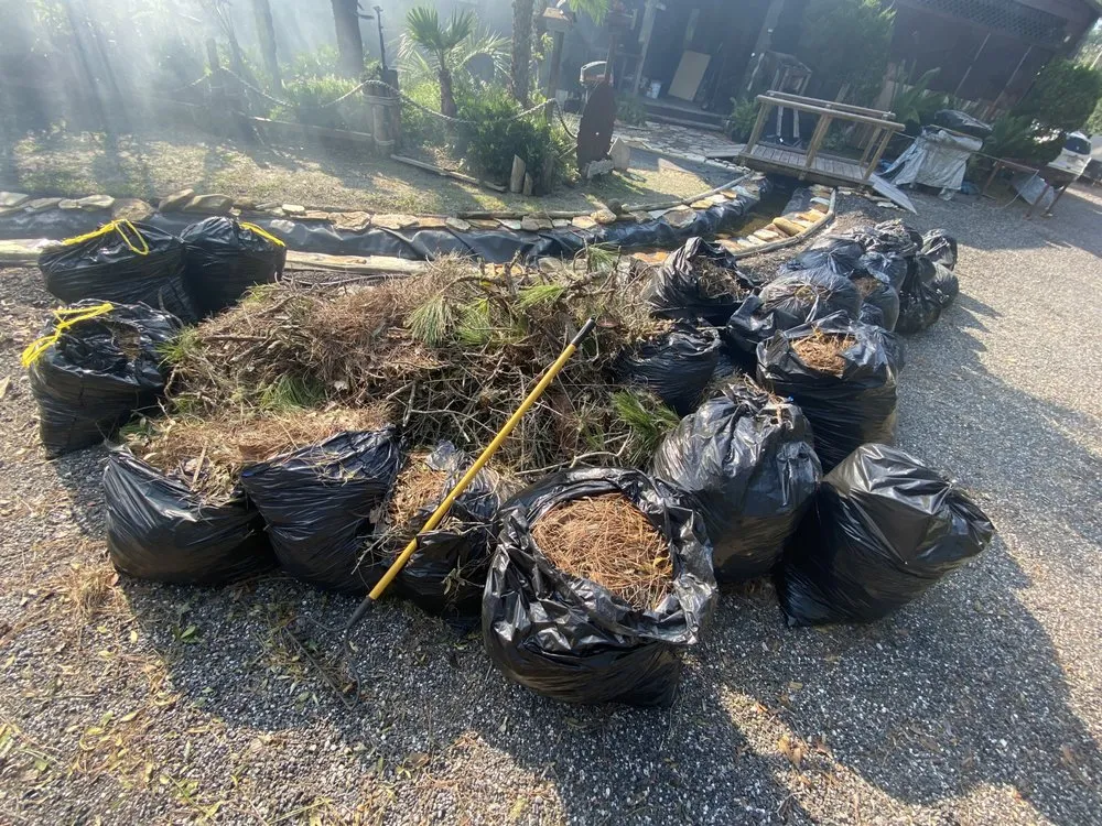 Local landscaping services in DeLand, FL - Forever Green