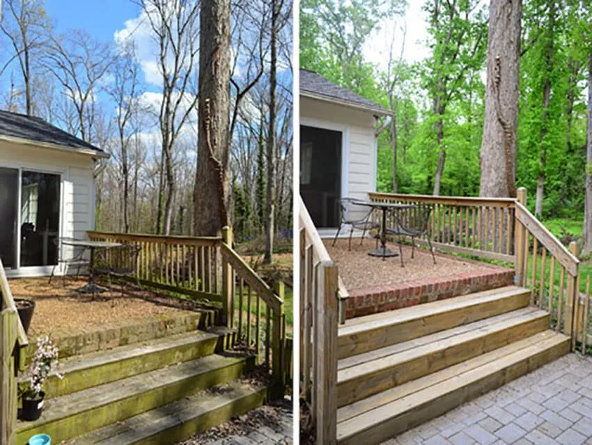 Expert yard cleanup service experts serving Eccles, WV - Forever Green