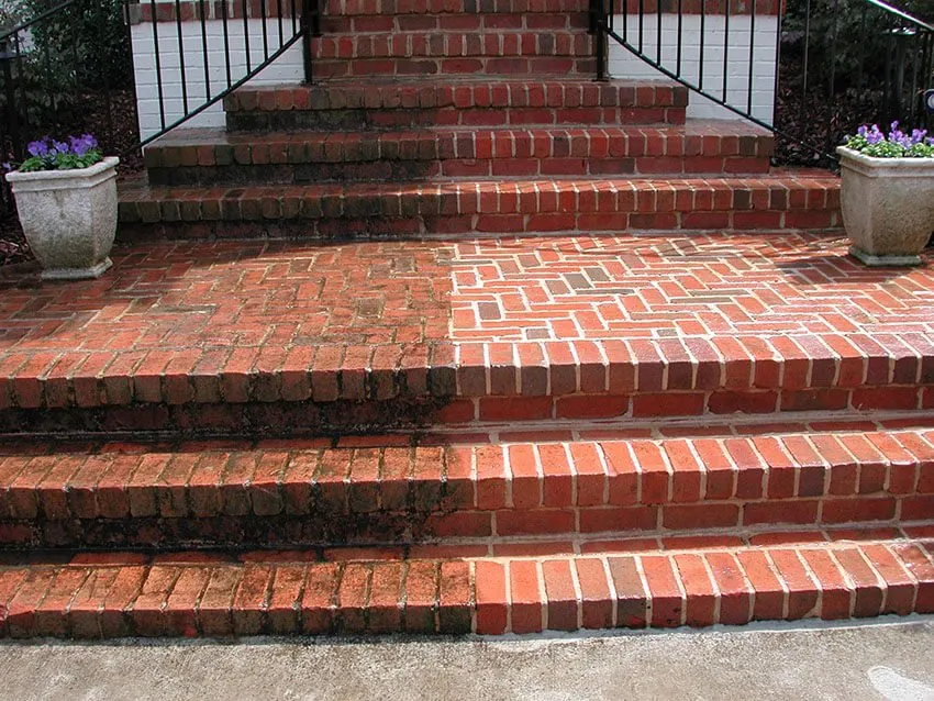Professional yard cleanup service for residential properties in Eccles, WV by Forever Green