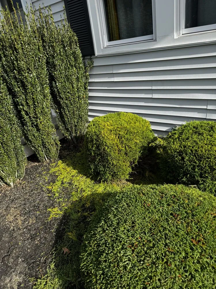 Trusted residential landscaping for year-round maintenance across Fall River, MA - Forever Green