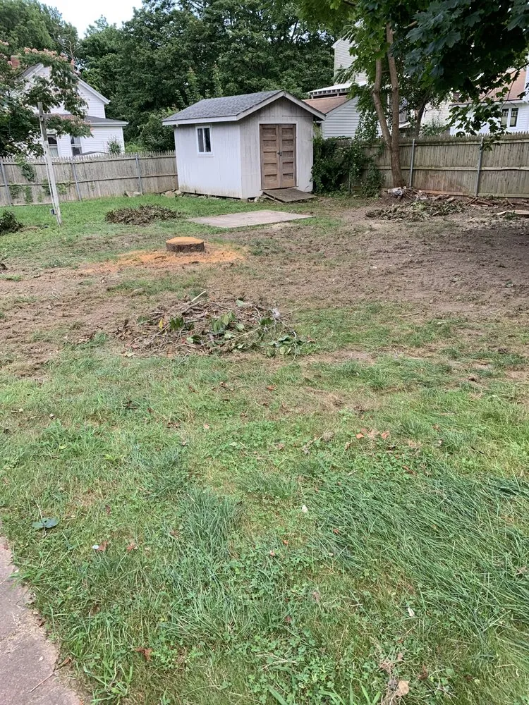 Expert lawn mowing service in Fall River, MA - Forever Green