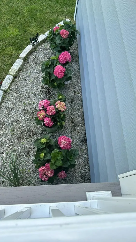 Affordable yard cleanup service experts serving Fall River, MA - Forever Green